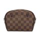 Louis Vuitton Pouch