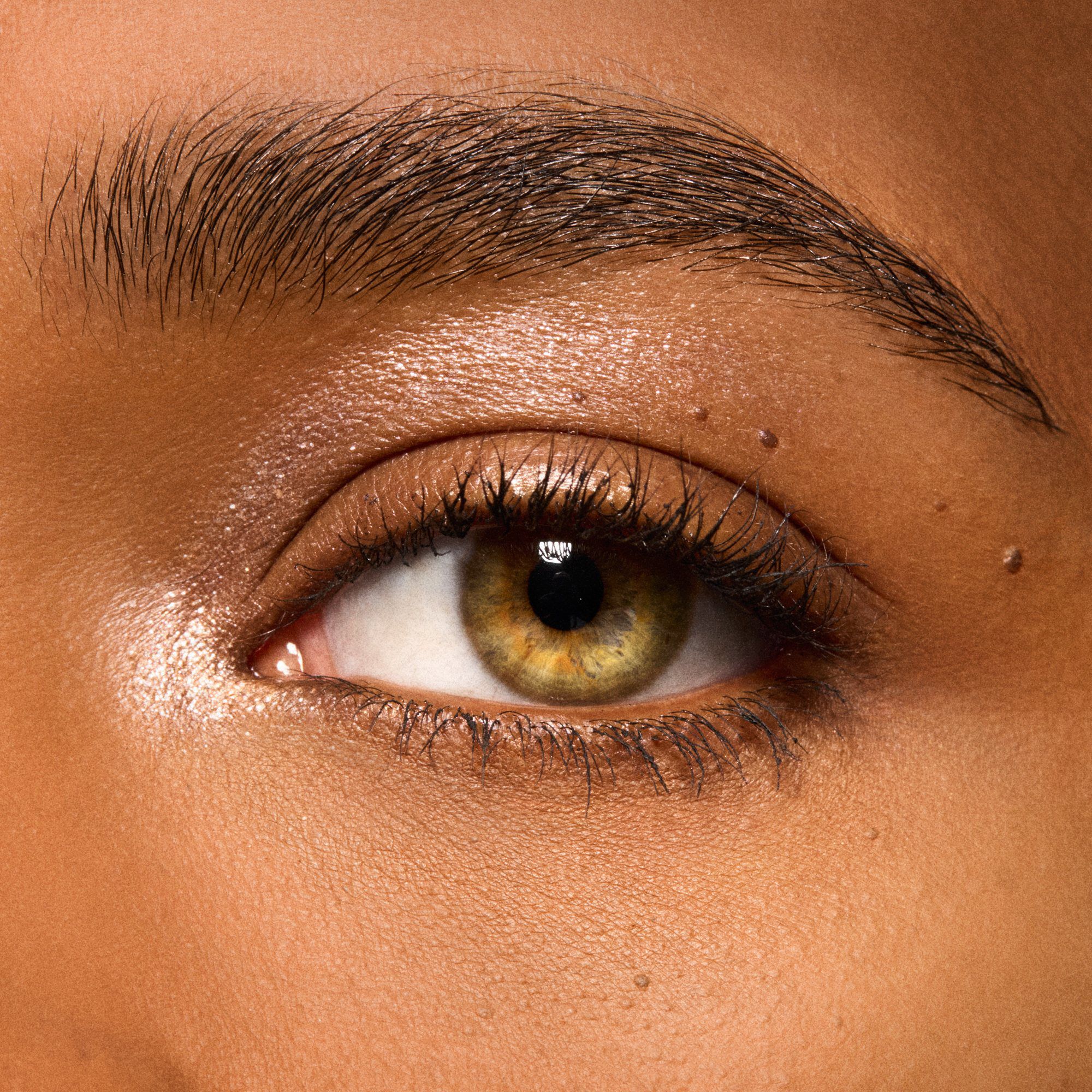 Dressed To Dazzle Eye Duo