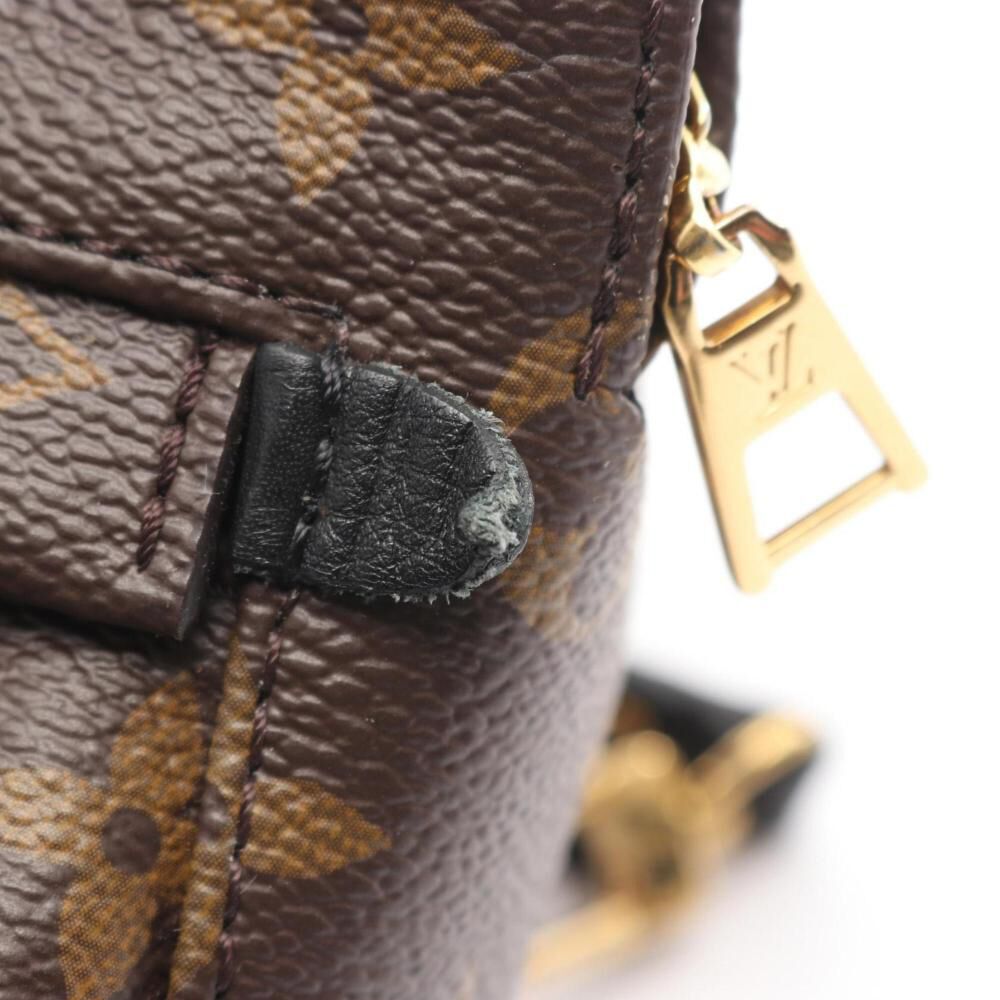 Louis Vuitton Palm Springs