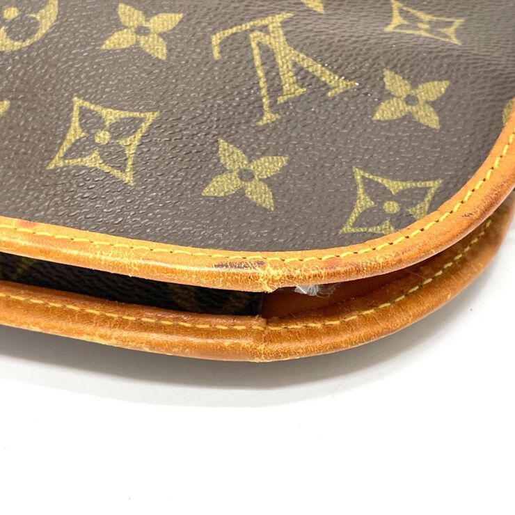 Louis Vuitton Pouch