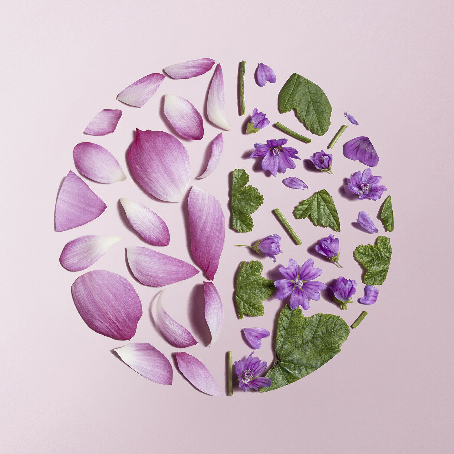 Youth Flow - Skin Renew Velvet Cream