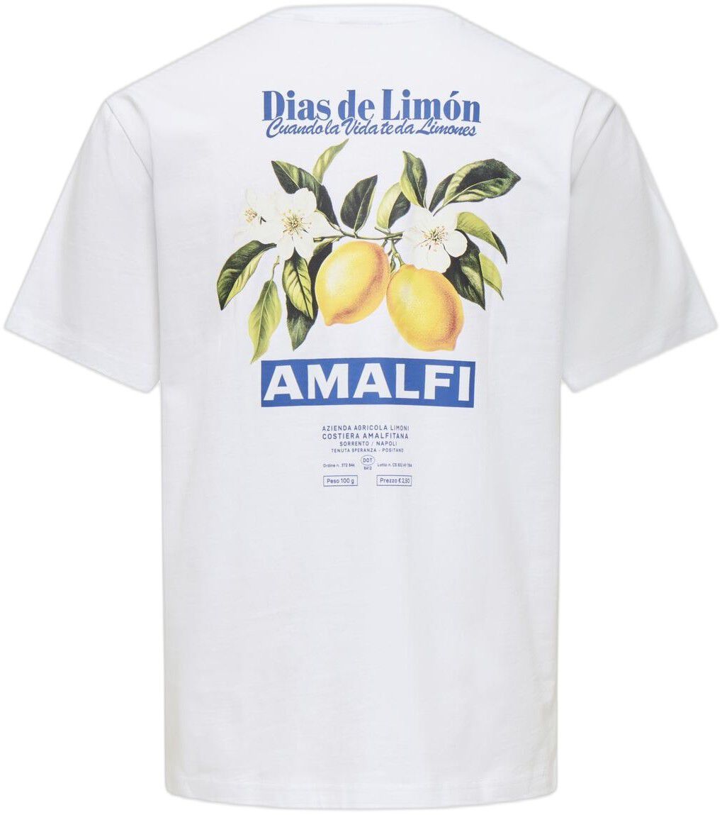 ONSFRED LIFE RLX SS PRINT TEE NOOS