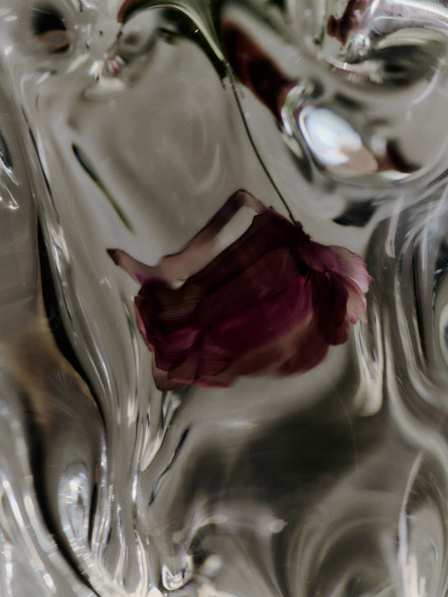 Virelle Vase - H18 - Clear