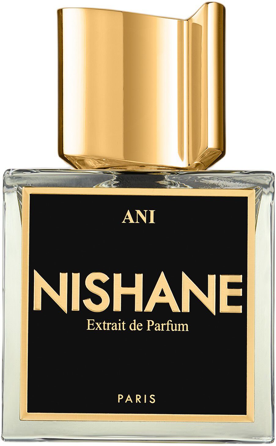 ANI EDP 100 ML