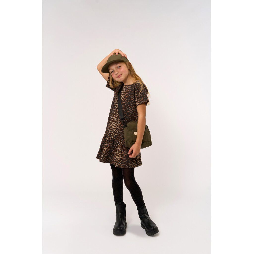 TNPanya S_S Denim Dress