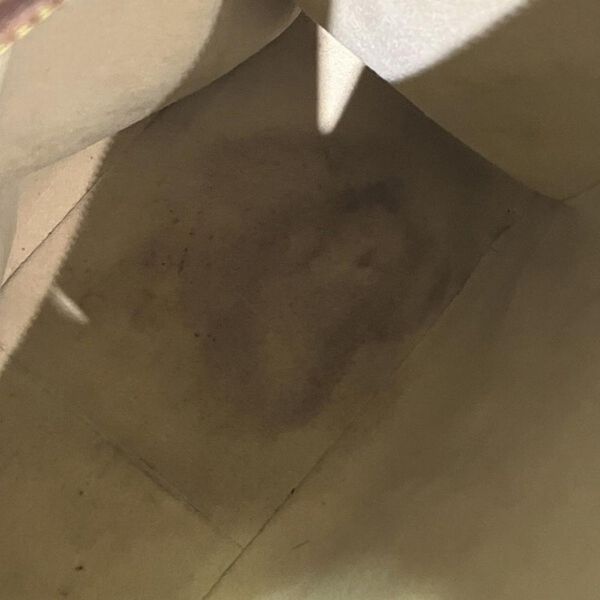 Louis Vuitton Looping