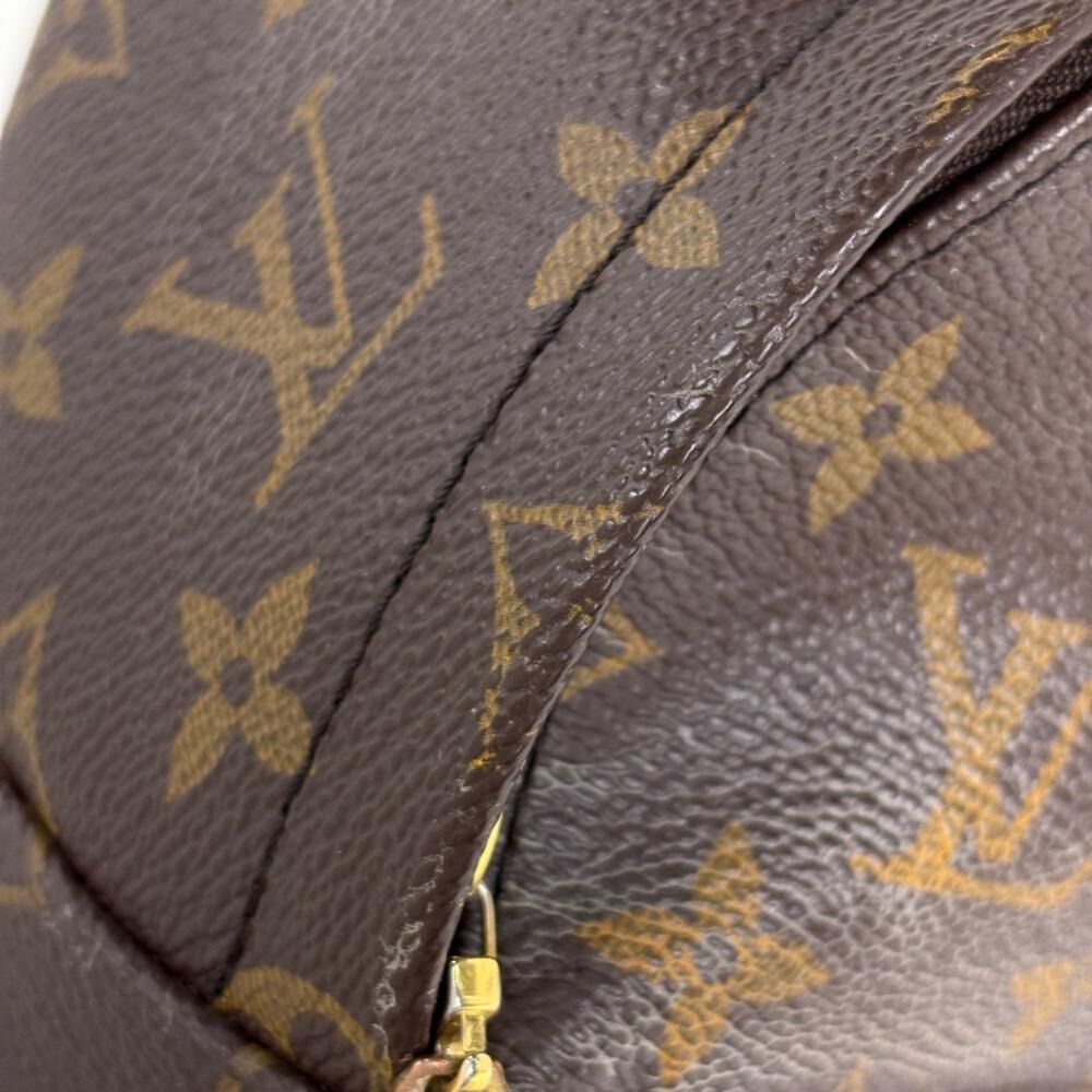 Louis Vuitton Palm Springs