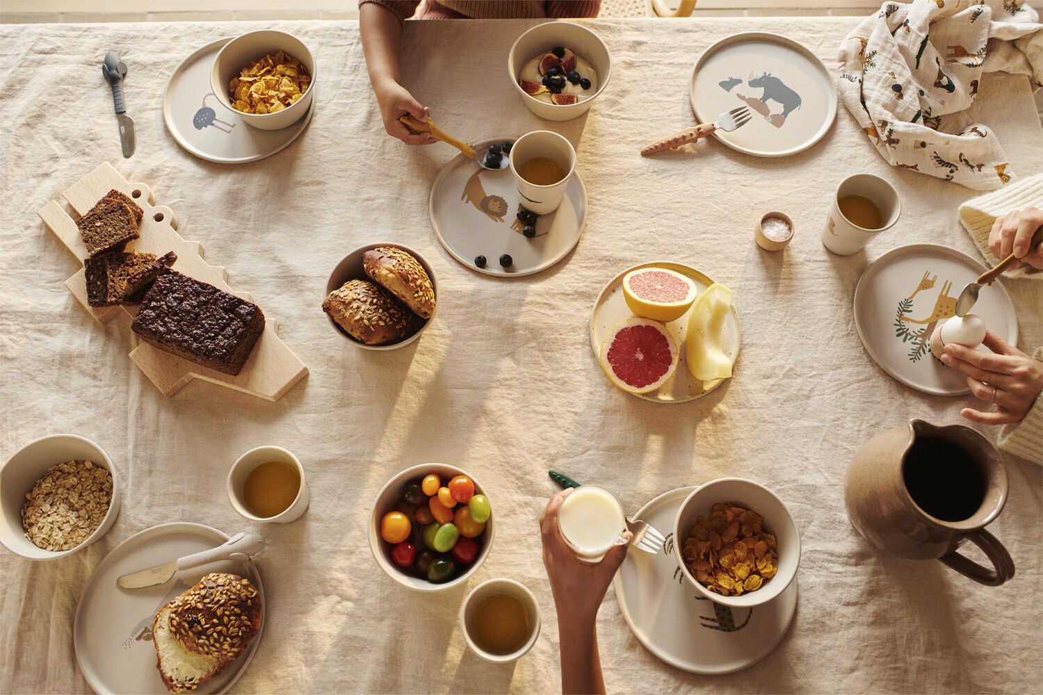 Lana Cup 6-Pack Dinosaurs / Mist-On