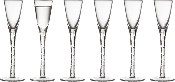 Snapsglas Paris 2,5 cl 6 st Klar