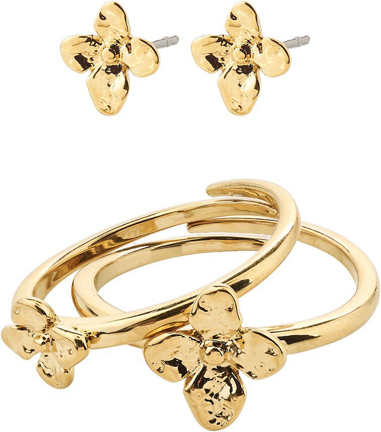 SANINE gift set, rings & earstuds, gold-plated