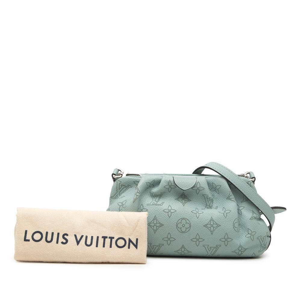 Louis Vuitton Pouch
