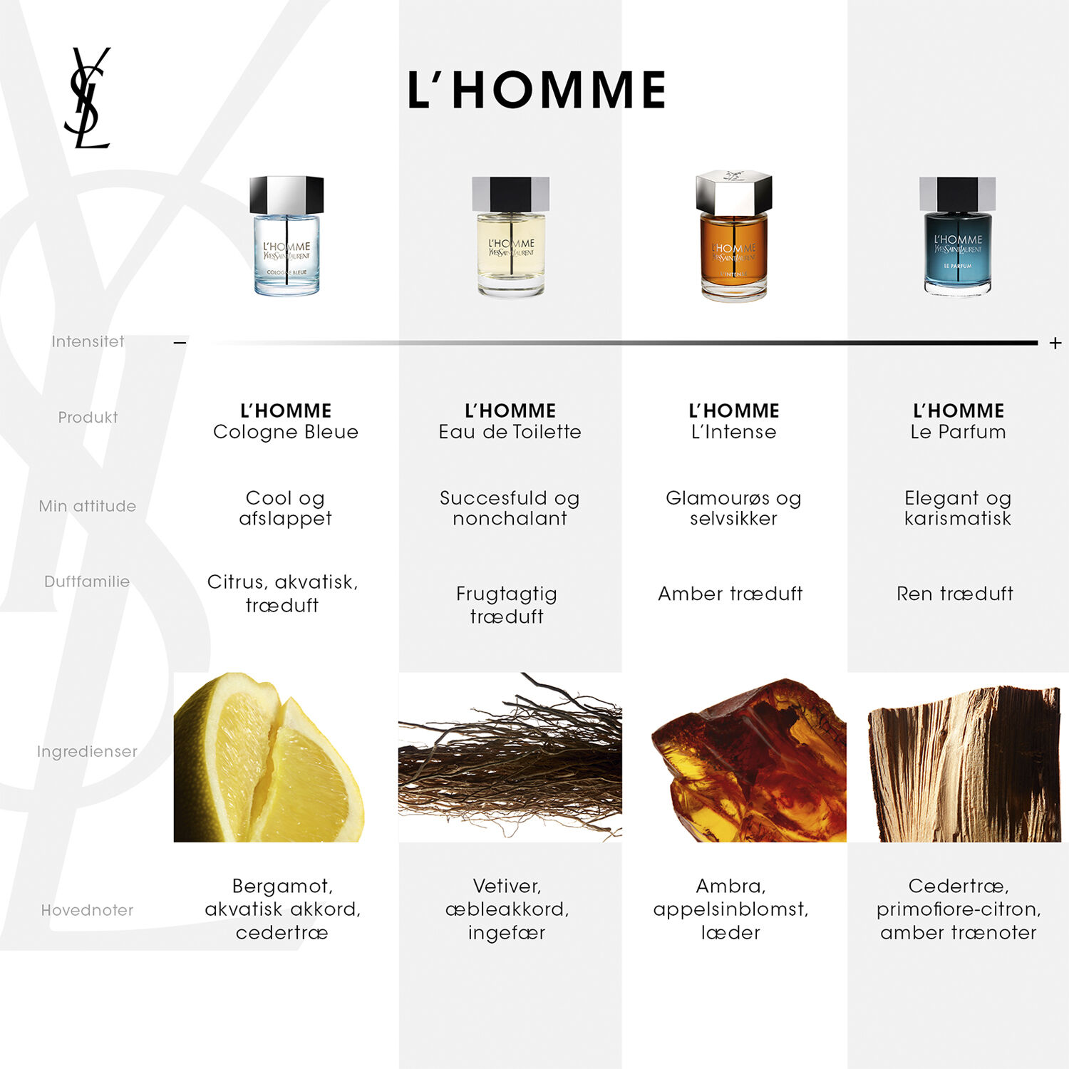 L&acute;Homme Le Parfum