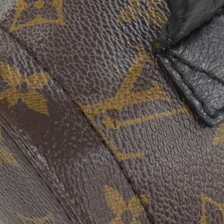 Louis Vuitton Palm Springs