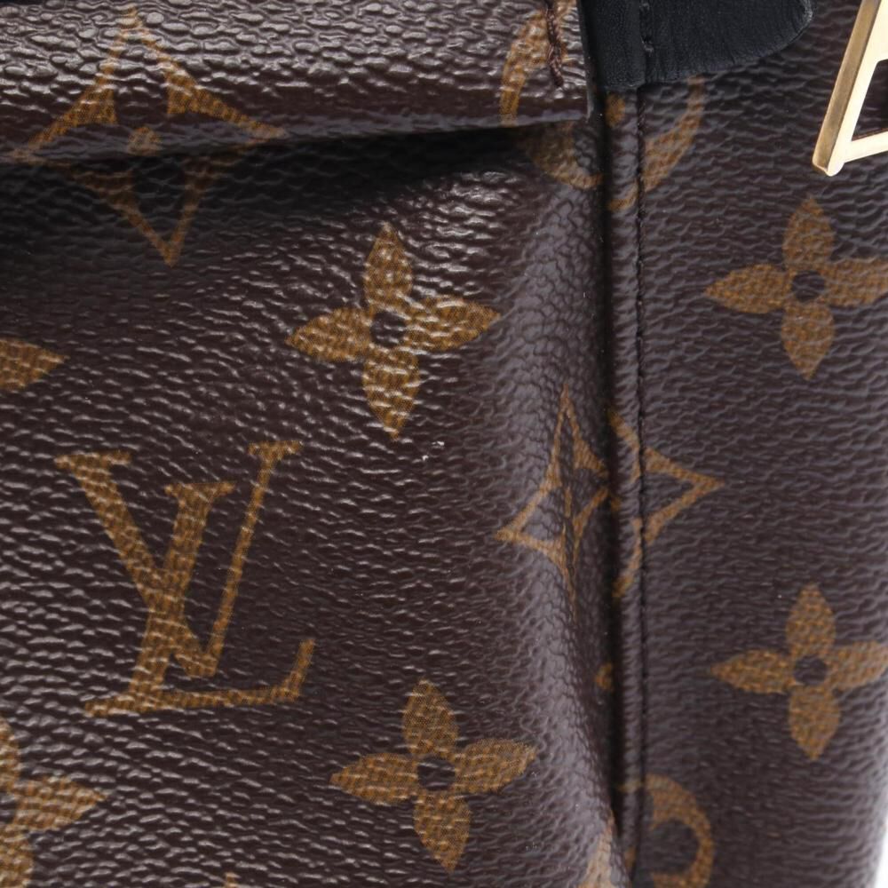 Louis Vuitton Palm Springs