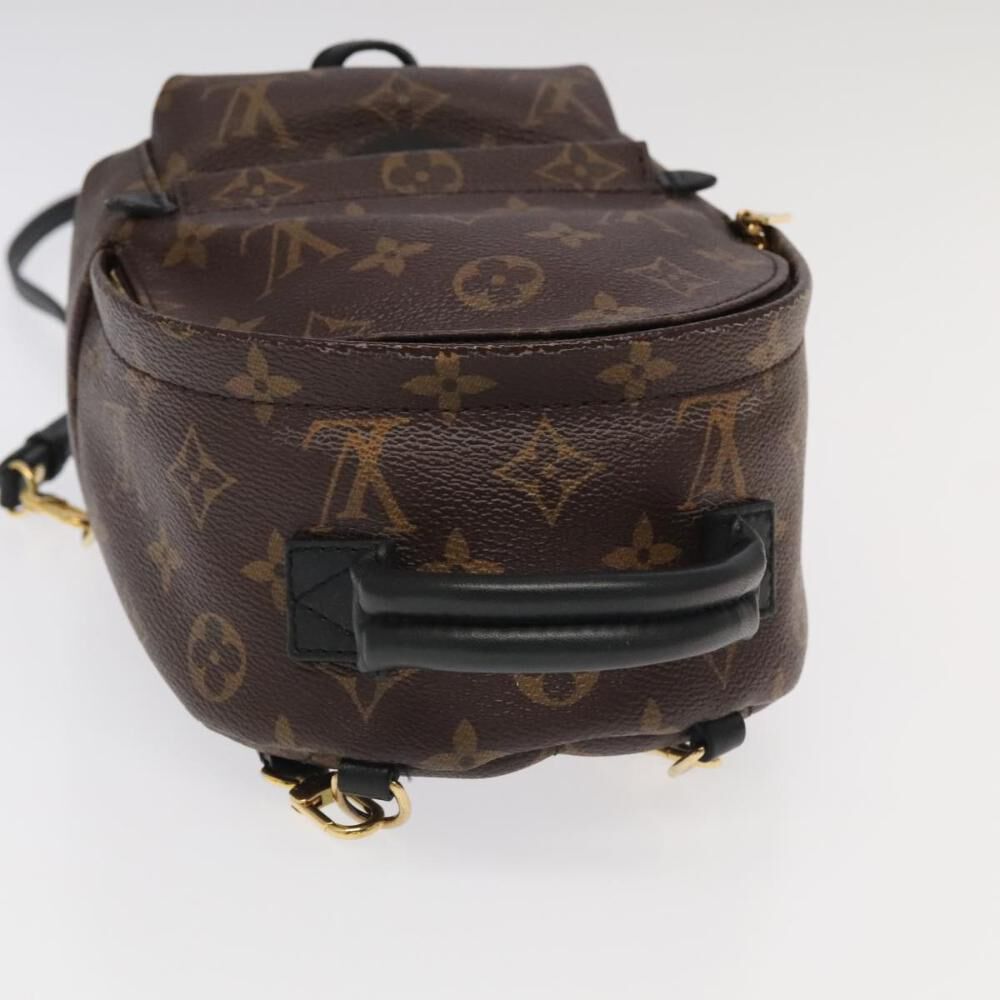 Louis Vuitton Palm Springs