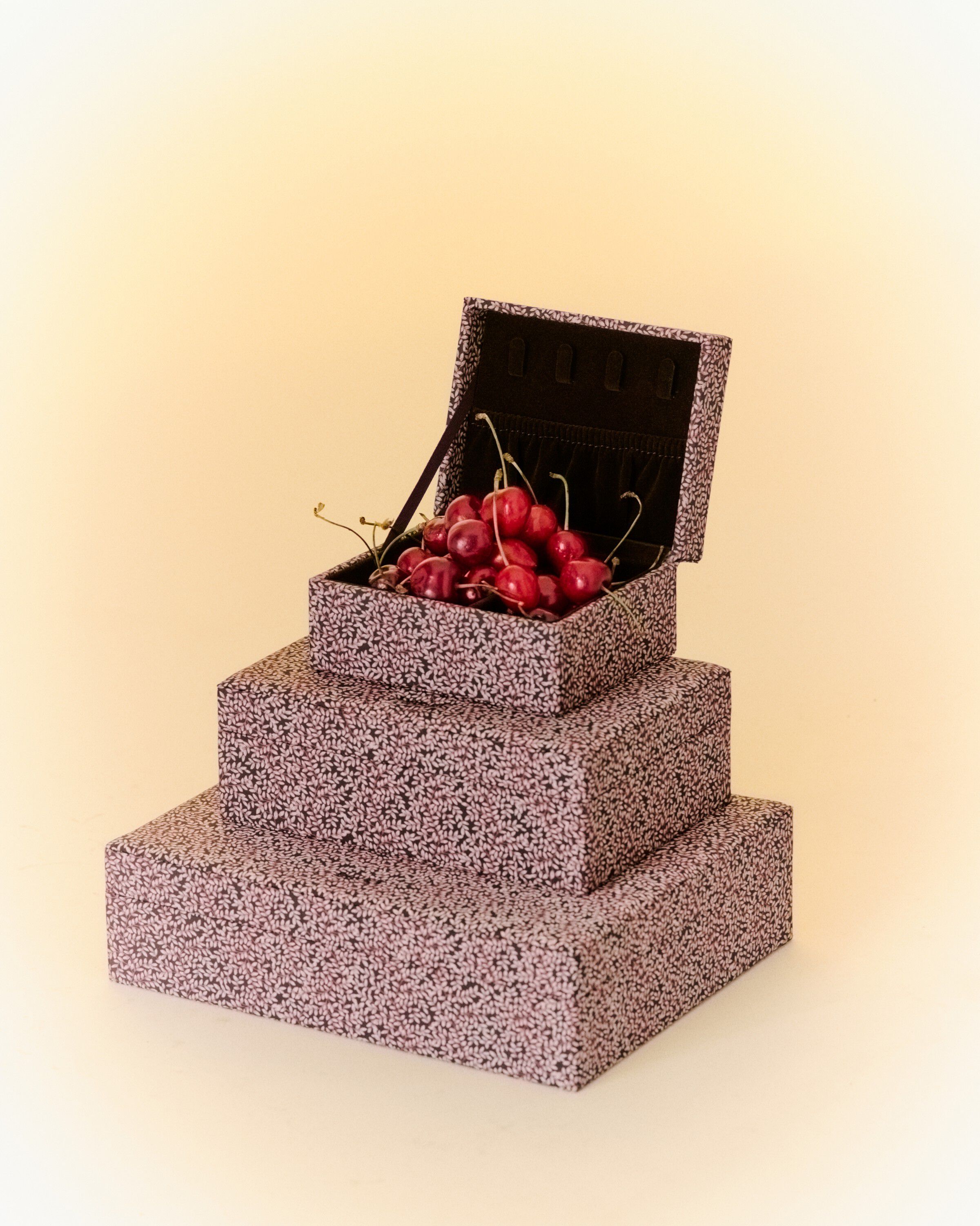 Day Print Jewelry Case Small