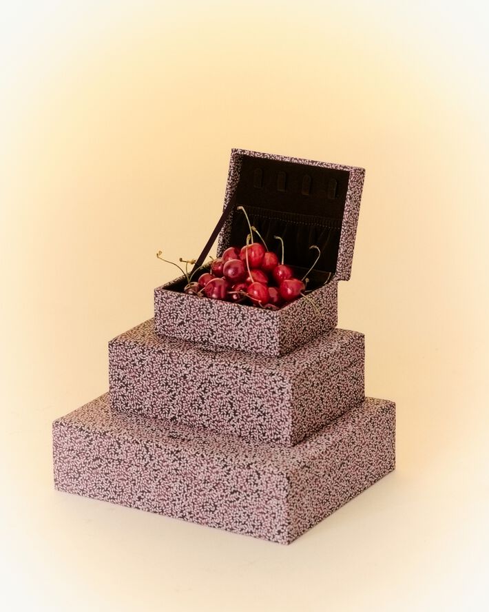 Day Print Jewelry Case Small