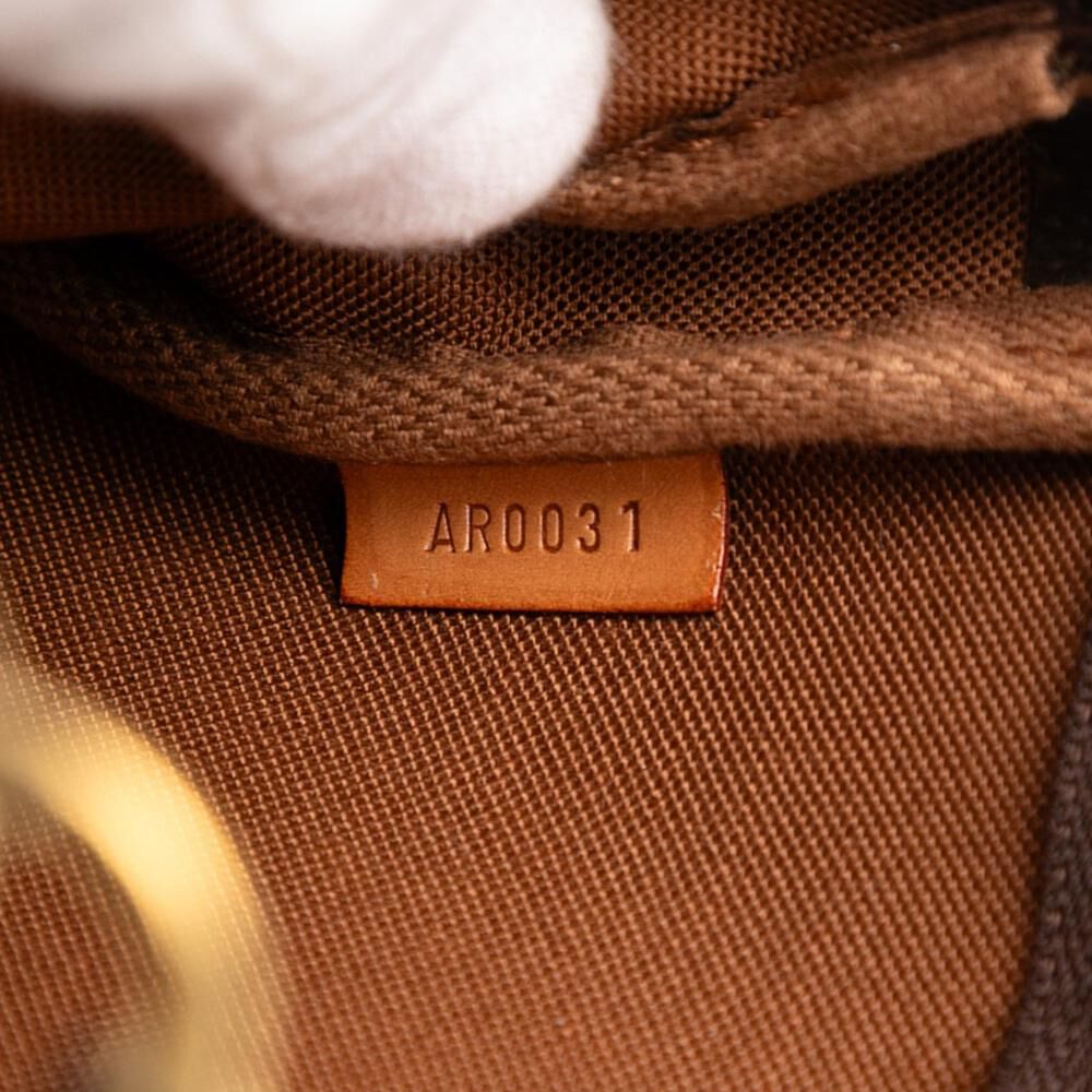 Louis Vuitton Pochette Accessoires