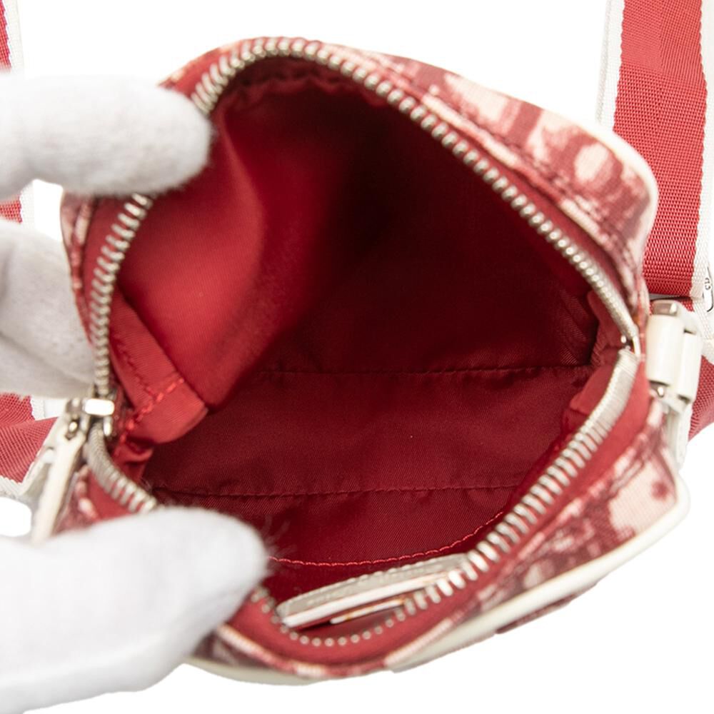 Dior Crossbody Bag
