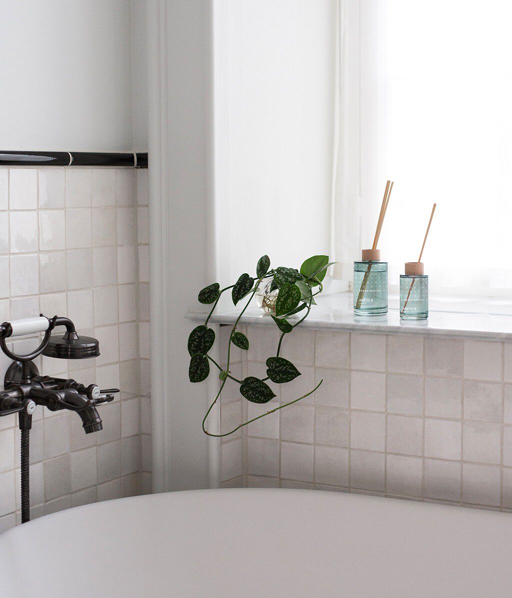 ARKTIS Scent Diffuser 100ml