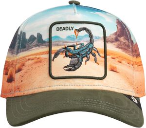 Scorpion in the Element