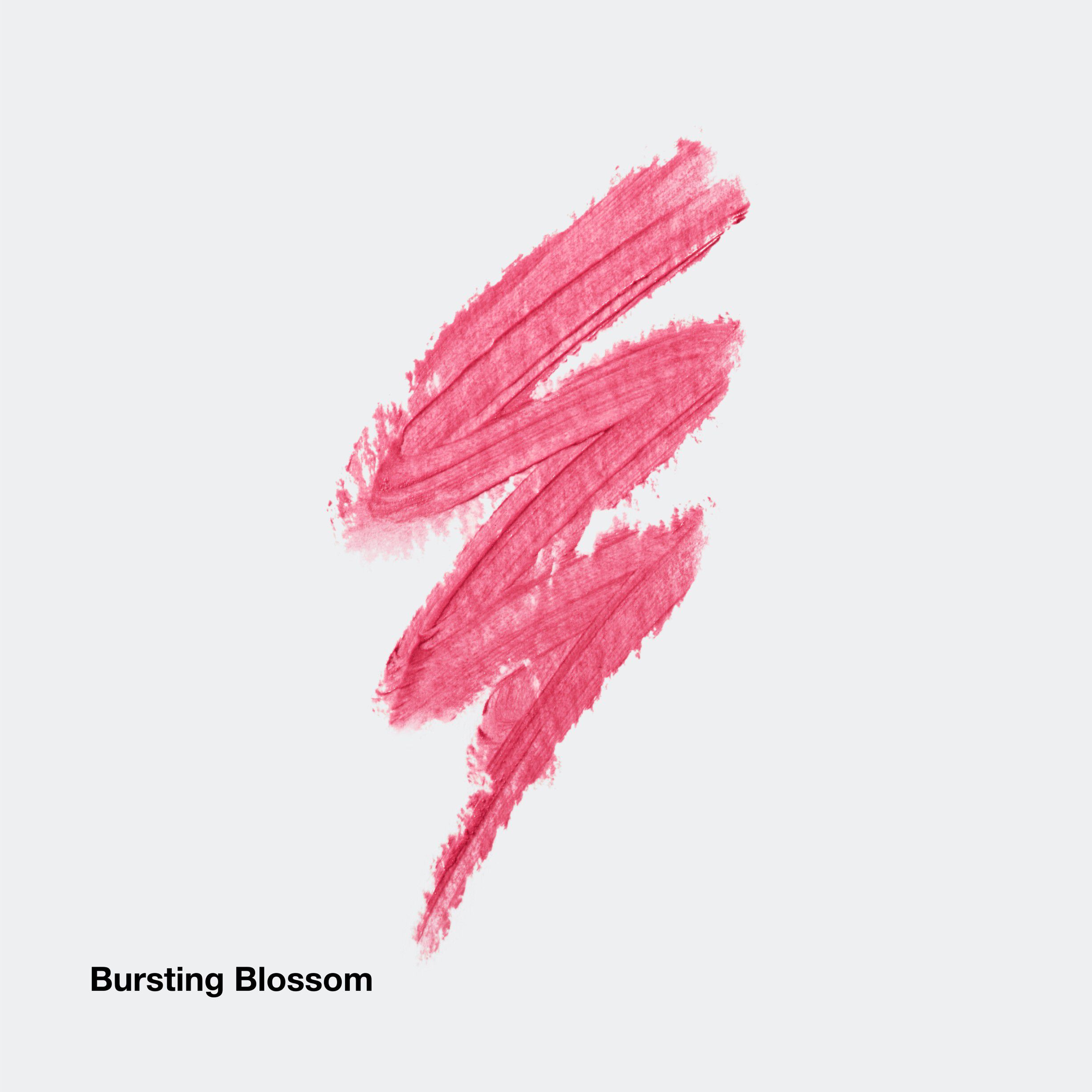 CS MOIST LIP COLOR BA-BU 3GM/. 1OZ