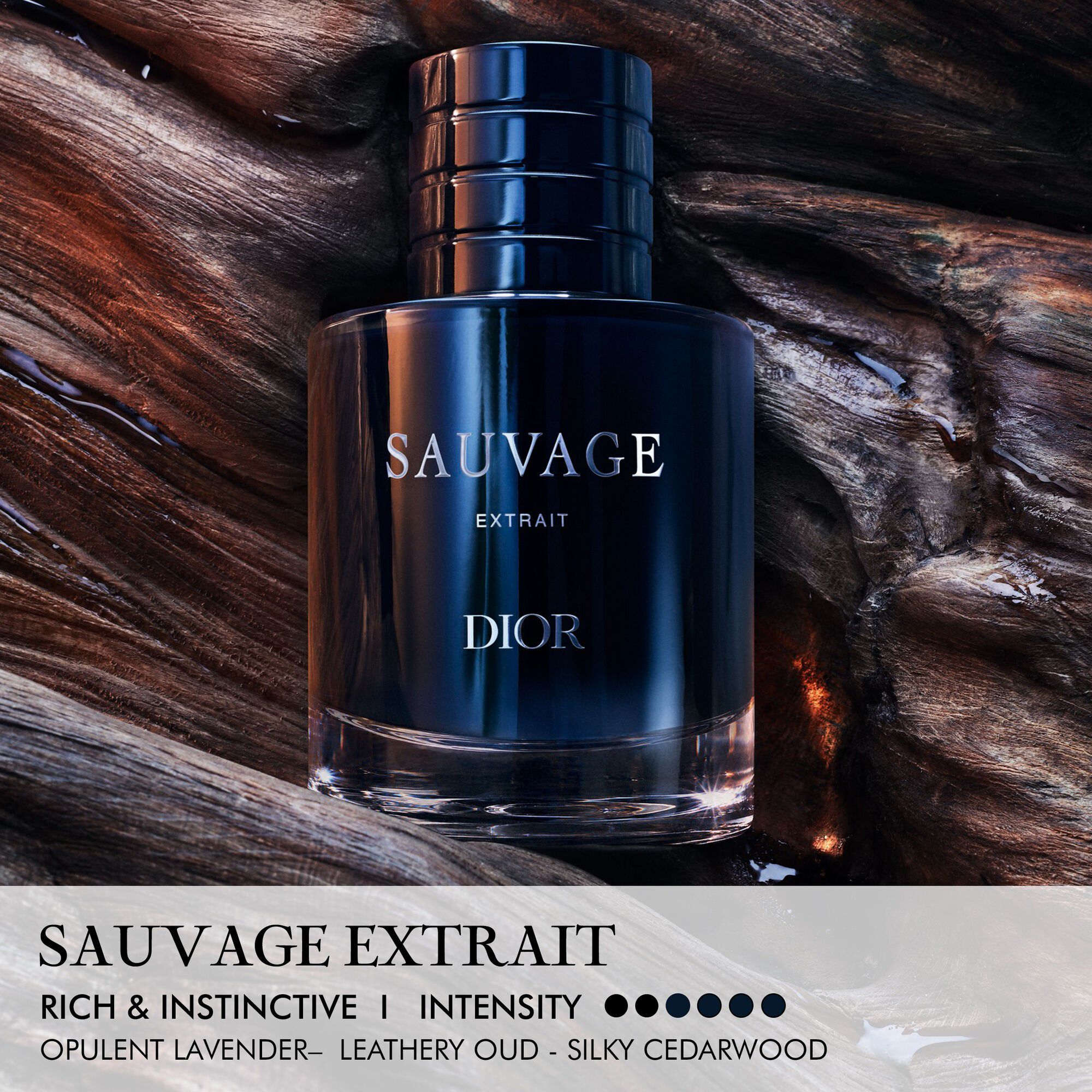 Sauvage Extrait