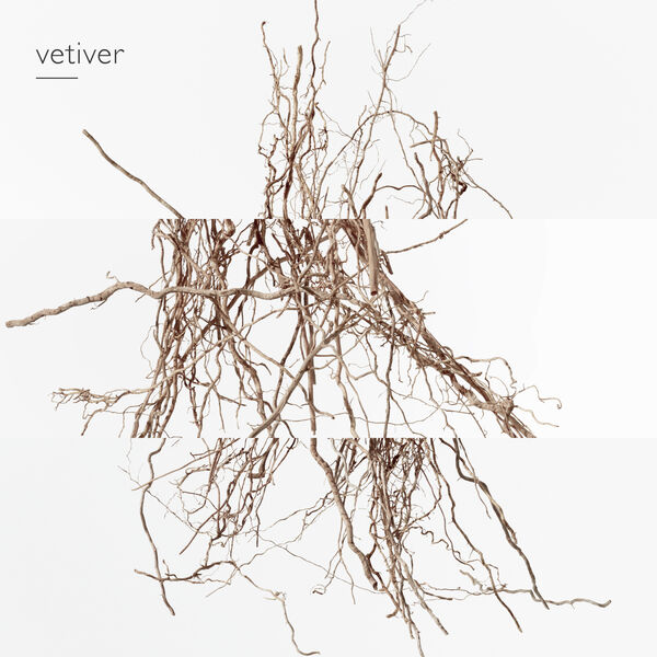 TERRE D'HERMÈS EAU INTENSE VÈTIVER, EAU DE PARFUM