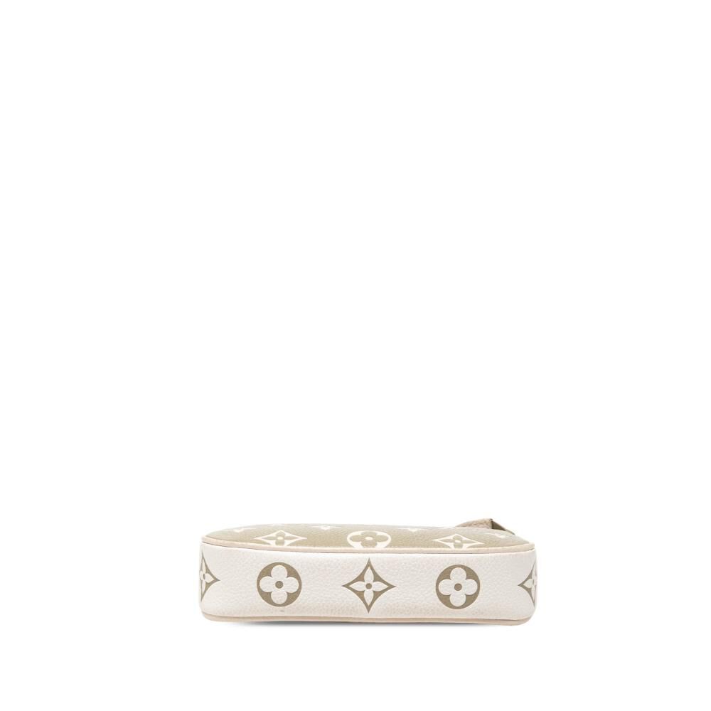 Louis Vuitton Pochette Accessoires