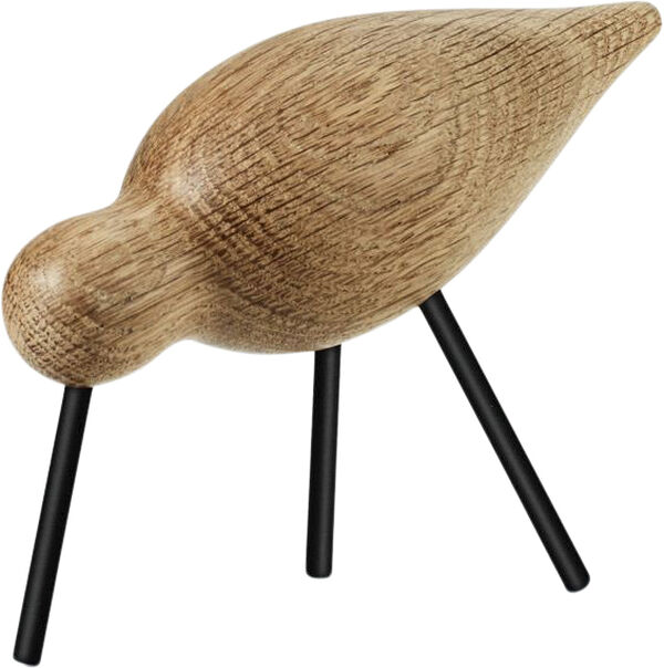 Shorebird mellan svart