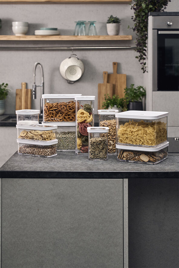 Fresh & Save CUBE box 4S transparent-vit