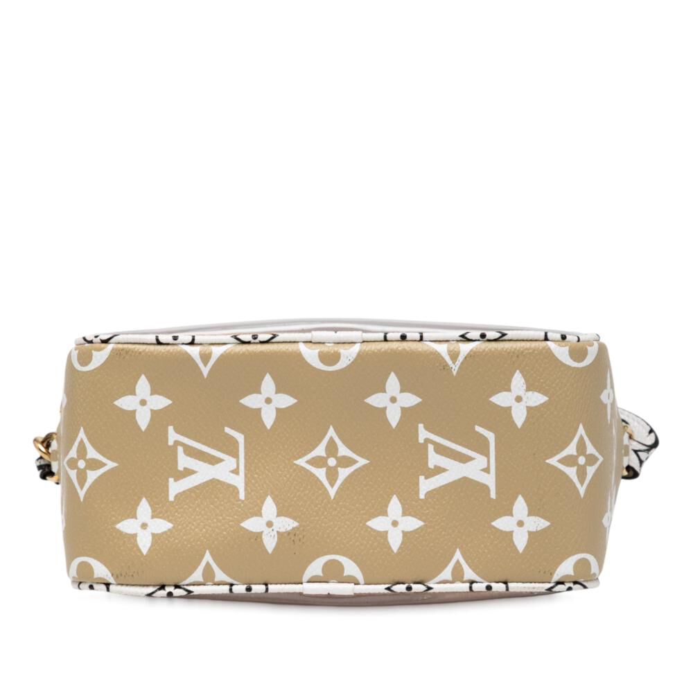 Louis Vuitton Pouch