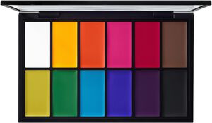 Painstick X 12 Palette