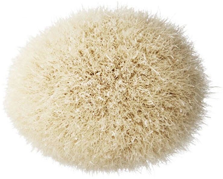 Brushes - 168S Large Angled Contour