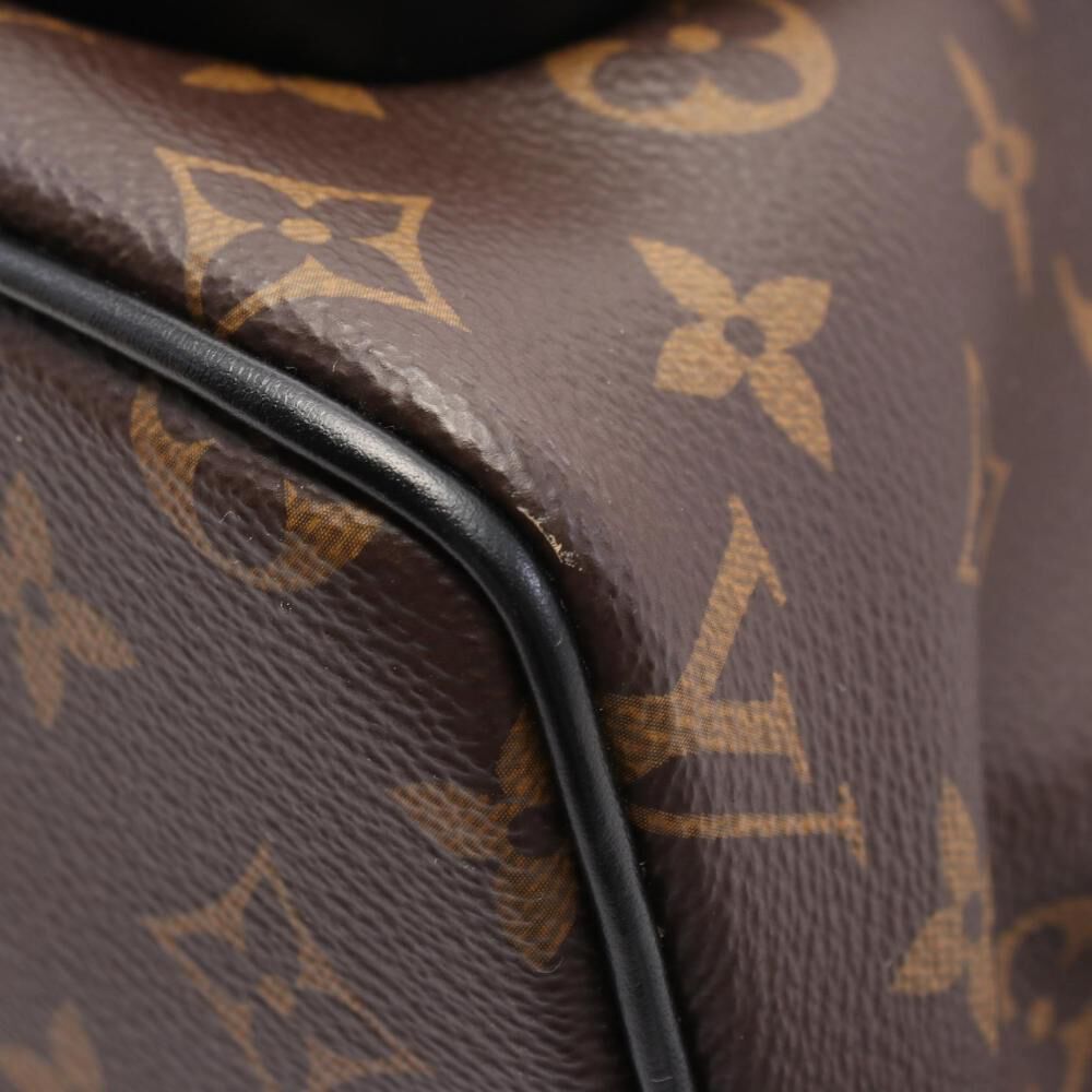 Louis Vuitton Backpack