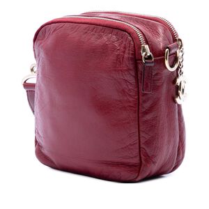 Chanel Crossbody Bag