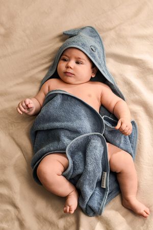 Albert Dino Hooded Towel
