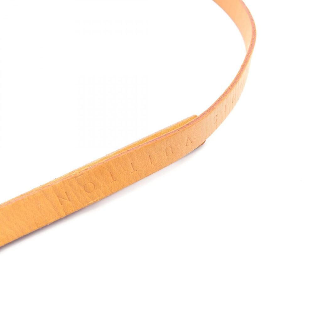 Louis Vuitton Belt Bags