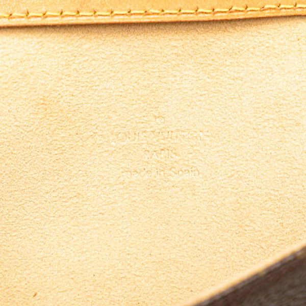 Louis Vuitton Twin Pochette