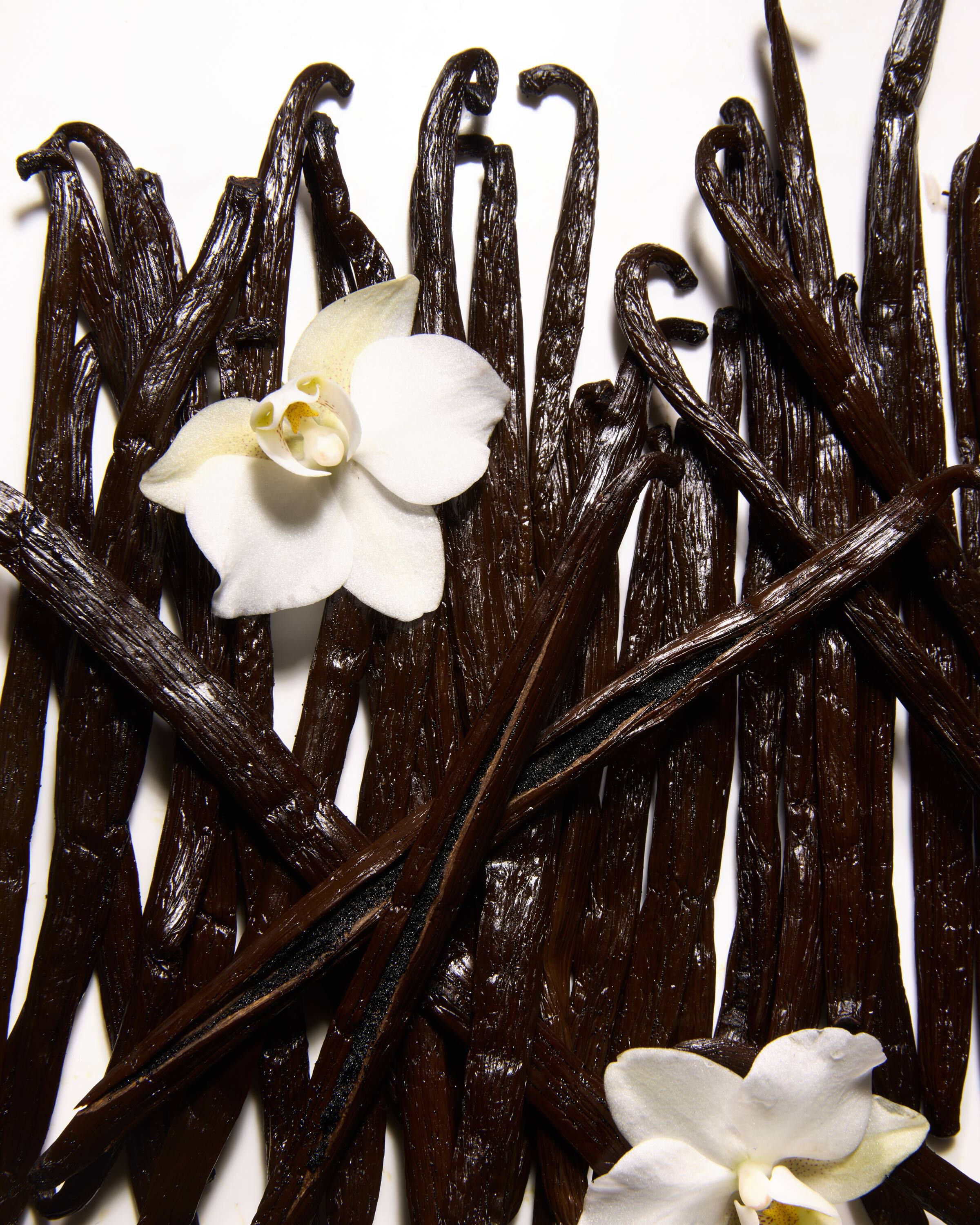 Vanilla Hand Balm