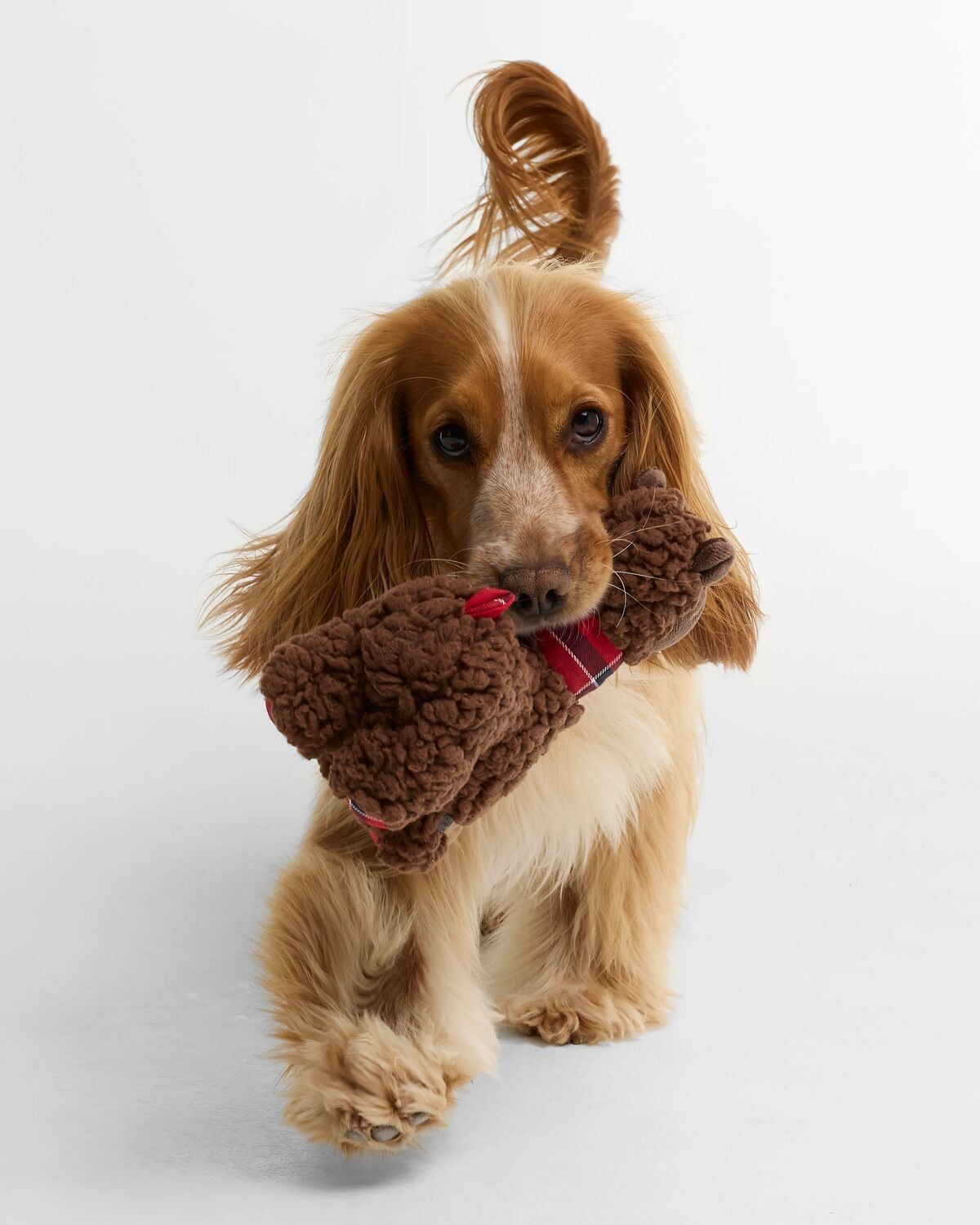 Barbour Dog Llama Toy