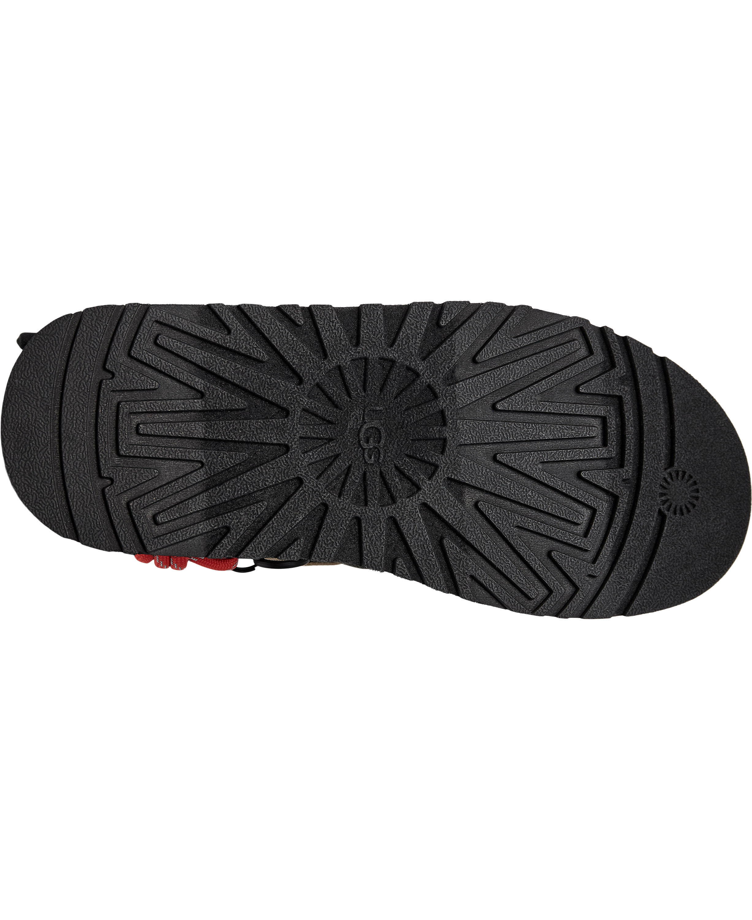 W Bea Mary Jane Wild