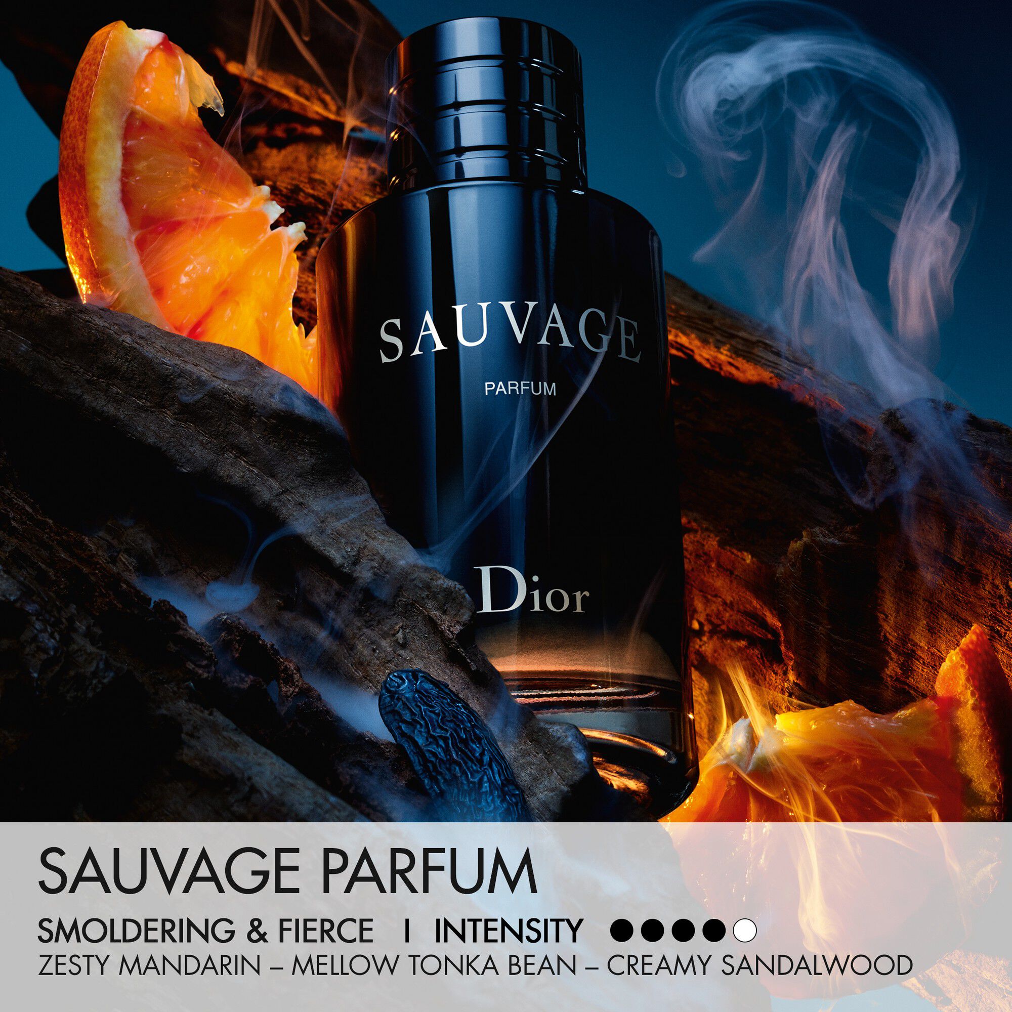 Sauvage Parfums Travel Spray 30ML INT25