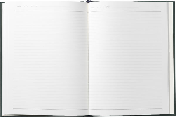 Business Notesbog med dagsplan og mødereferat, Grøn