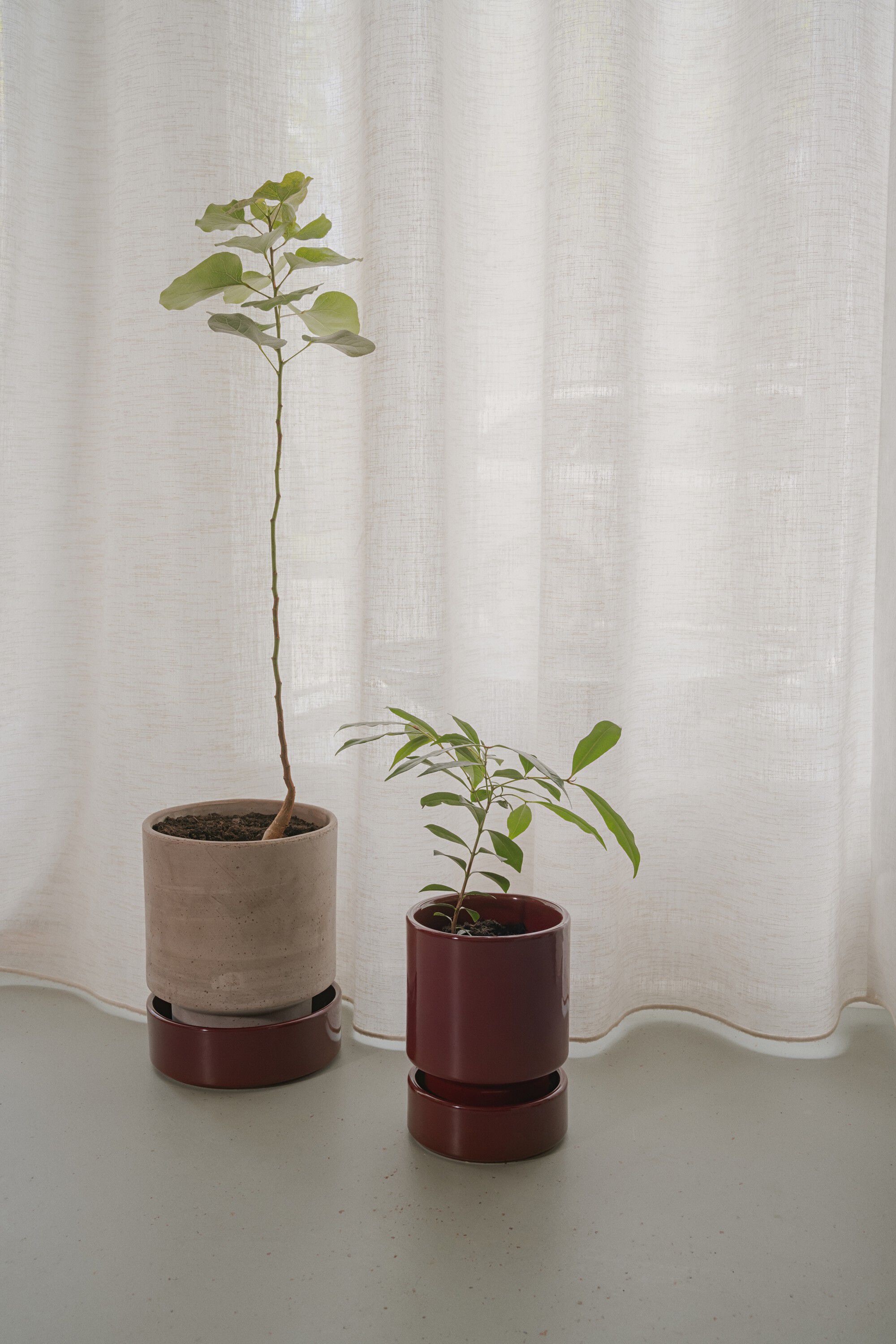 Hoff RAW Rosa/GLAZED Deep Burgundy, &Oslash; 18 cm, Set