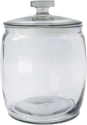 F&ouml;rvaringsglas, Ville, Klar