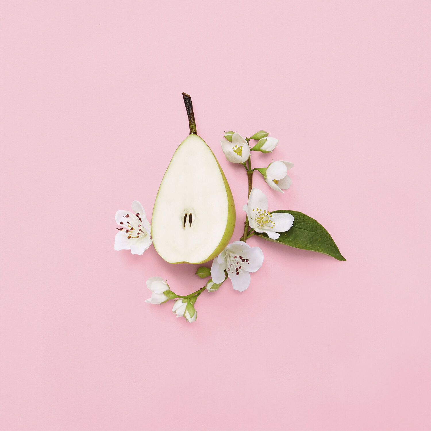 GUCCI Flora Gorgeous Gardenia Eau de parfum