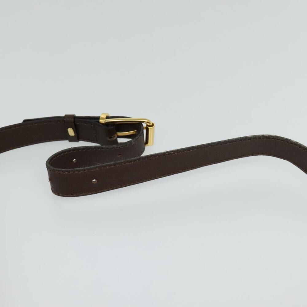 Celine Crossbody Bag