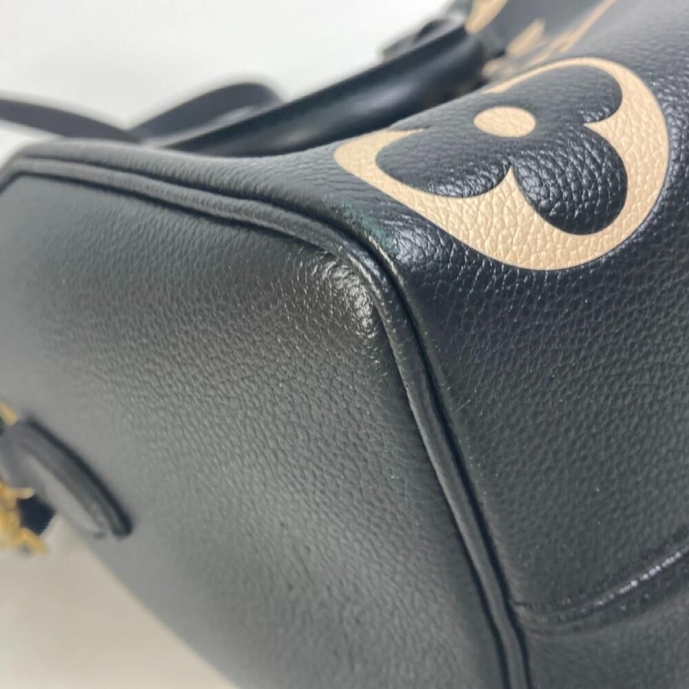 Louis Vuitton Speedy
