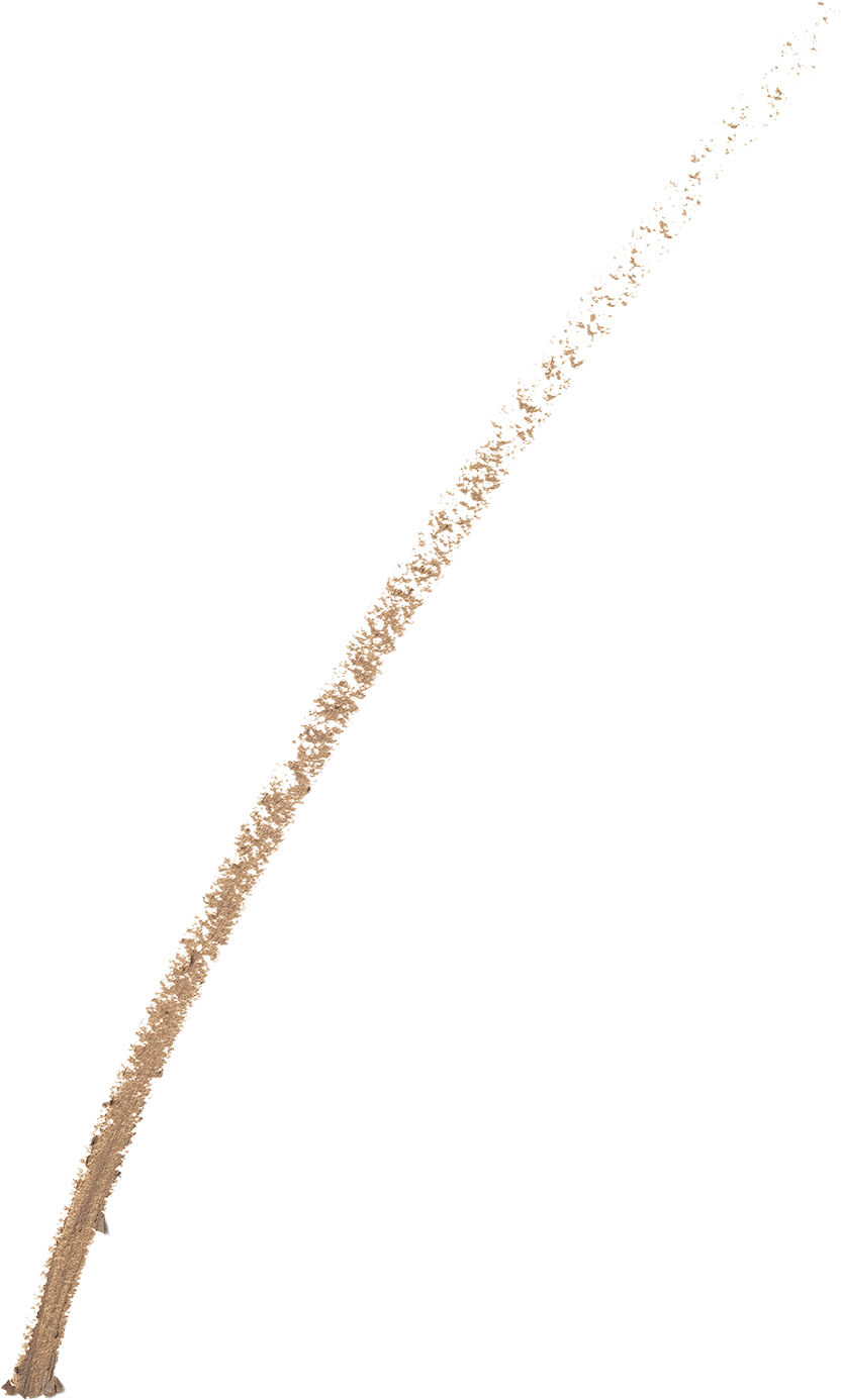 Brow Now Brow Defining Pencil